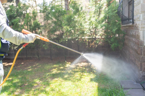 Best Mosquito Control  in Gustine, CA